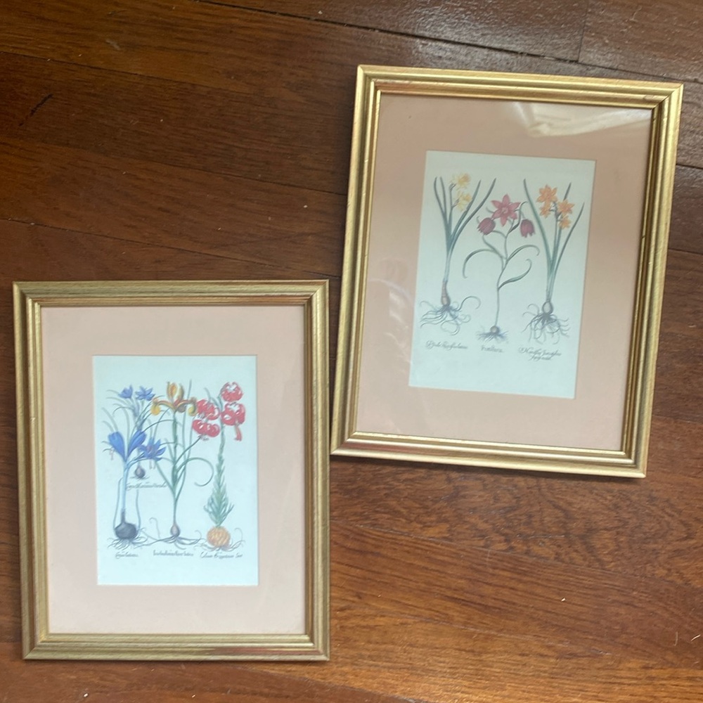 Vintage frames